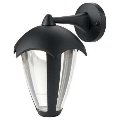 Arte Lamp HENRY, Уличный светильник, цвет арматуры - черный, цвет плафона/декора - прозрачный, 1x10W LED, A1661AL-1BK