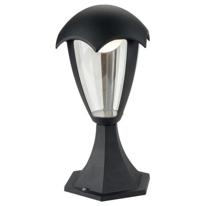 Arte Lamp HENRY, Уличный светильник, цвет арматуры - черный, цвет плафона/декора - прозрачный, 1x10W LED, A1661FN-1BK