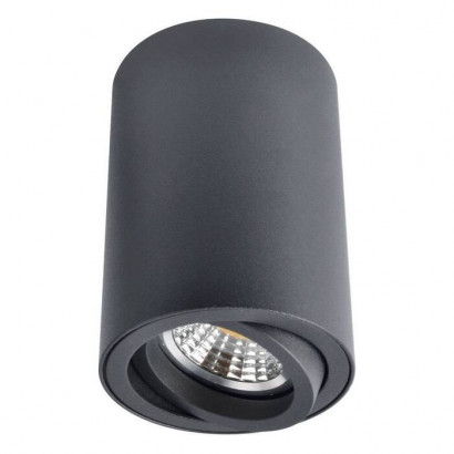 Arte Lamp SENTRY, Накладной светильник, цвет арматуры - черный, цвет плафона/декора - , 1х50W GU10, A1560PL-1BK