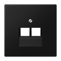 Плата (фиксация винтом) для двух модулей; термопласт; черный матовый, LS969-2UASWM Плата (фиксация винтом) для двух модулей; термопласт; черный матовый, LS969-2UASWM