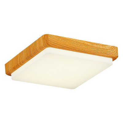 Evoluce SLE200202-01 Светильник потолочный Светло-коричневый/Белый LED 1*20W 4000K