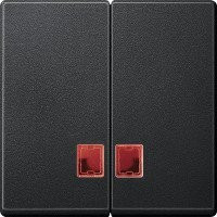 ДВЕ КЛАВ.С КР.ПРЯМОУГ.ОКОШ.Д/СВЕТ.ИНД.АН