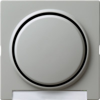 029942 Gira Клавиша с полем для надписи