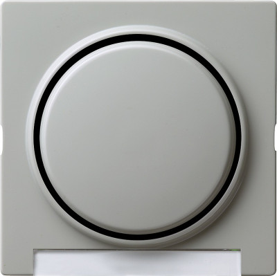 029942 Gira Клавиша с полем для надписи