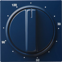 064246 Gira Накладка таймера 120 мин