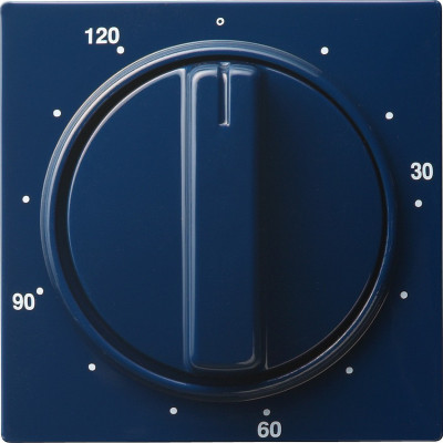 064246 Gira Накладка таймера 120 мин
