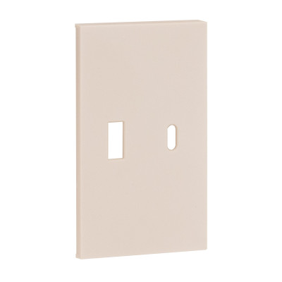 Usb+type c наклодкой 2--ух модульная цвет-песочный матовый Meiton, AM12C