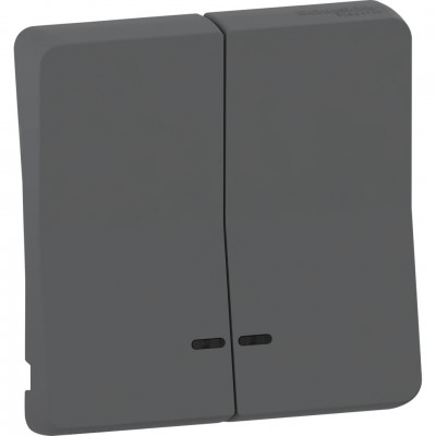 MUR34205 - MUREVA S ДВОЙНАЯ КЛАВИША с линзой подсветки, АНТРАЦИТ, IP55, Schneider Electric