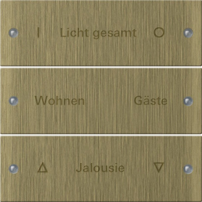 2133607 Gira Комплект клавиш, 3 шт. ГРАВИРОВКА