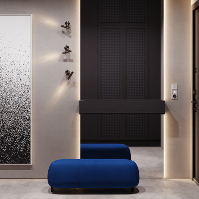 Клавиши для выключателя/переключателя двухклавишного с подсветкой, S70 (серый), VLS000416