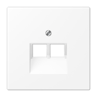 Плата (фиксация винтом) для двух модулей; термопласт; белый матовый, LS969-2UAWWM Плата (фиксация винтом) для двух модулей; термопласт; белый матовый, LS969-2UAWWM