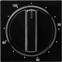 064247 Gira Накладка таймера 120 мин