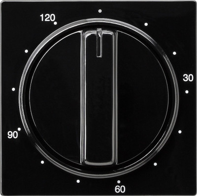 064247 Gira Накладка таймера 120 мин