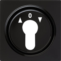 066447 Gira Накладка выключателя с ключом