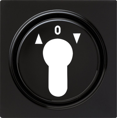 066447 Gira Накладка выключателя с ключом