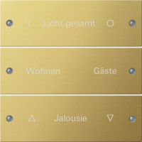 2133608 Gira Комплект клавиш, 3 шт. ГРАВИРОВКА 2133608 Gira Комплект клавиш, 3 шт. ГРАВИРОВКА