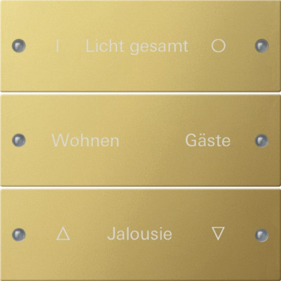 2133608 Gira Комплект клавиш, 3 шт. ГРАВИРОВКА