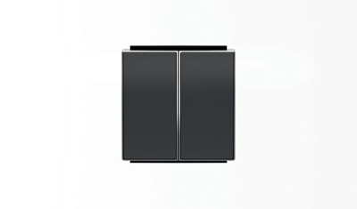 8542 NS - Клавиша для 2-клавишного механизма выключатель+переключатель арт.8142, серия SKY, цвет чёрный барх. - 2CLA854200A1501