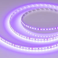 Лента RT-A120-8mm 24V Violet (9.6 W/m, IP20, 2835, 5m) (Arlight, -), 043384