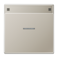 Клавиша для выключателя с подсветкой и полем для надписи; благородная сталь, ES2990NAKO5