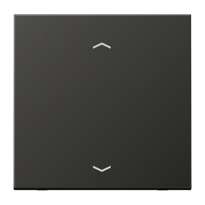 Клавиша для кнопки BCU; антрацит, AL2990PAN