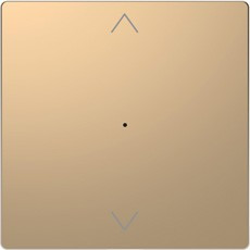 D-Life PlusLink Клавиша 1-ная с символами, шампань