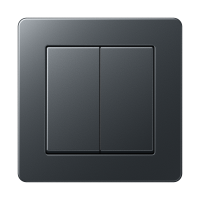 Jung Выключатель 2-клавишный,  серия A Flow