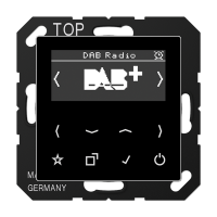 Цифровое радио DAB+, DABASW