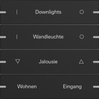 5034905 Gira Клавиша 4-ная  для сенс.  выкл.Gira 4 KNX, ГРАВИРОВКА