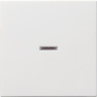 029027 Gira Клавиша с подсветкой