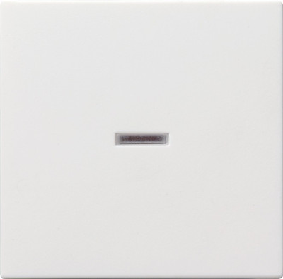 029027 Gira Клавиша с подсветкой