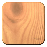 BLANCA О/У 1-клавишный ВЫКЛЮЧАТЕЛЬ (cх.1), 10А, 250B, ЯСЕНЬ BLANCA О/У 1-клавишный ВЫКЛЮЧАТЕЛЬ (cх.1), 10А, 250B, ЯСЕНЬ