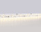 Светодиодная лента 12В 2835 240Led 17Вт/м 3000K IP20 5м, AMBRELLA LIGHT, GS1401
