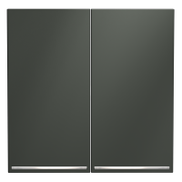 Клавиши для выключателя/переключателя двухклавишного с подсветкой, S70 (титан), VLS000406