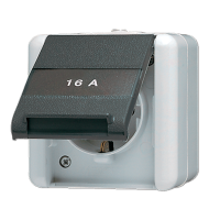 Штепсельная розетка SCHUKO с полем для надписи; для накладного монтажа IP44, 820NAW