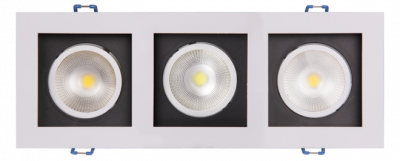 PSP-S 213  3x8W 4000K 55° White IP40, 5005662