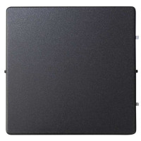 Simon S82,82N Клавиша 1-ная для 75101-,75150-,75152-,75201-,75251-,75211-39, графит, 82010-38