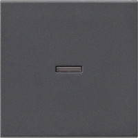 029028 Gira Клавиша с подсветкой