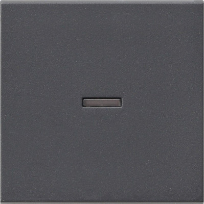 029028 Gira Клавиша с подсветкой