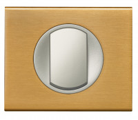 Legrand Выключатель 1-клавишный, вставка - титан,  материалы - Золото, серия Celiane