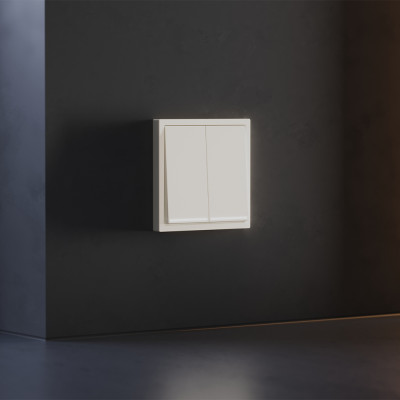 Клавиши для выключателя/переключателя двухклавишного с подсветкой, S70 (хлопок), VLS000413