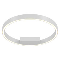 Technical Rim Потолочный светильник, цвет -  Белый, 25W