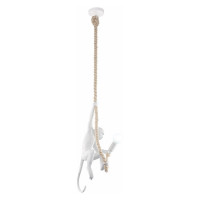 Evoluce SLE115103-01 Подвес Белый E27 1*60W