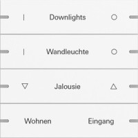5034927 Gira Клавиша 4-ная  для сенс.  выкл.Gira 4 KNX, ГРАВИРОВКА