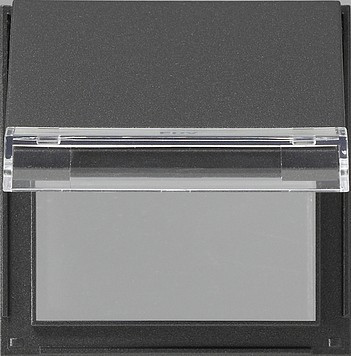 068067 Gira Плата с крышкой с полем для надписи