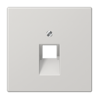 Крышка для одинарных телефонных и компьютерных розеток (UAE), фиксация винтом; термопласт; светло-серый; LS990, LS969-1UALG