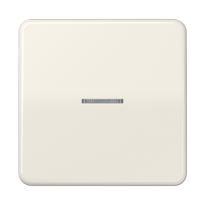 Клавиша для KNX кнопки, 1 группа с окошком; дюропласт; слоновая кость, CD101KO5