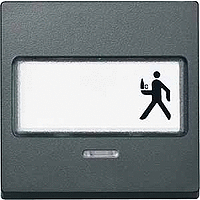 SM Клавиша 1-ная с полем  для надписи и линзой,  антр.