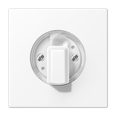 Накладка на поворотные выключатели; дюропласт; белый матовый, LS1941WWM