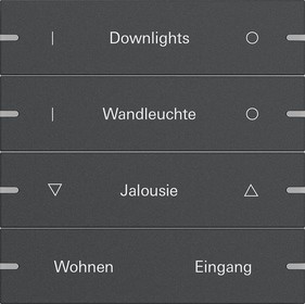 5034928 Gira Клавиша 4-ная  для сенс.  выкл.Gira 4 KNX, ГРАВИРОВКА